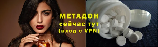 прущие грибы Губаха